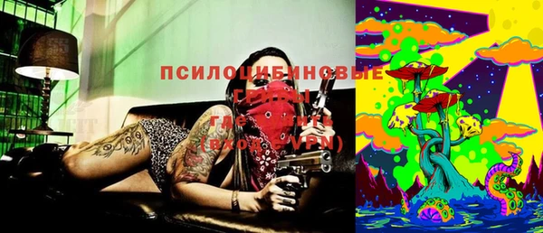спиды Алексеевка