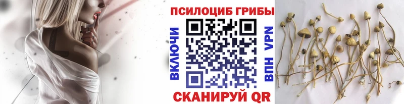 Псилоцибиновые грибы Magic Shrooms Наволоки